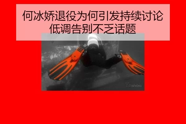 he-bing-jiao-tui-yi-wei-he-yin-fa-chi-xu-tao-lun-di-diao-gao-bie-bu-fa-hua-ti-2-325.jpg